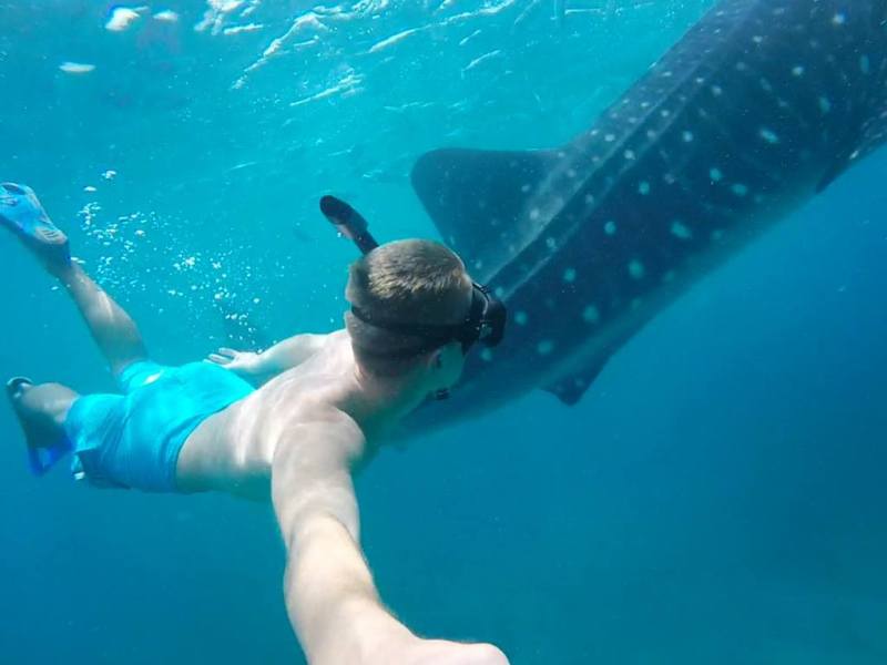 How to Ethically Swim with Whale Sharks
